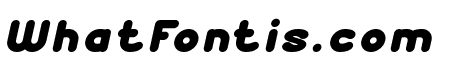 AUTHENTIC Bold Italic