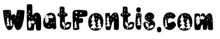 Bright Merry