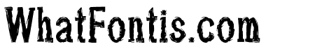 Cacumattus-Regular