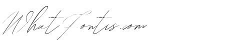 Vilamerca Signature Regular