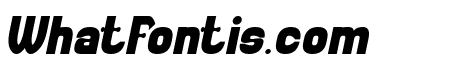 Collect the Moment Bold Italic