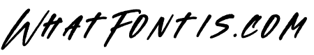 Morbides Junky Italic