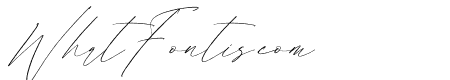 Berallopa Stinkross Italic