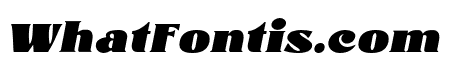 Andi Black Italic