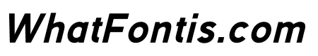 Mashetic Italic