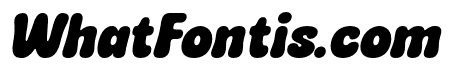PuddyGum-Italic