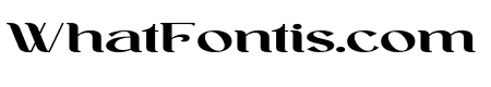 Ankori Bold