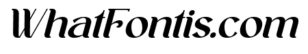 Ankori Italic