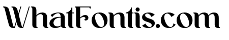 Ankori Regular