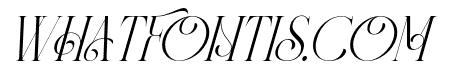 Panorama Ligatures Light Italic