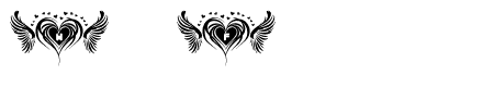 heart & wing Regular