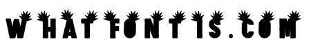 Fruit3
