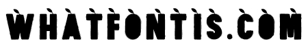Fruit4