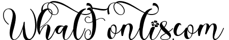 Winter Christmas Monogram