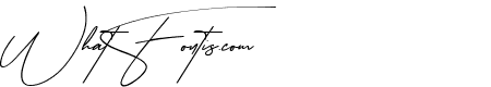 Bonista Signature Regular