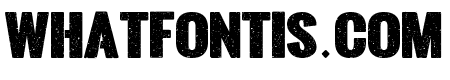 Simple Bold Bold