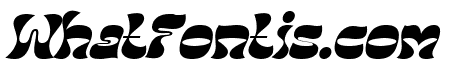 Tiki Tangle Italic