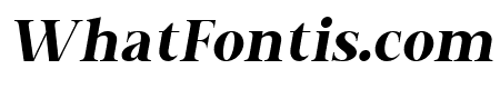NEW YEAR OBLIQUE