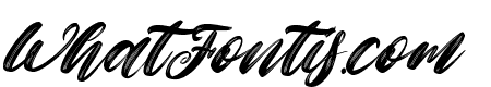 Cool Santa Italic