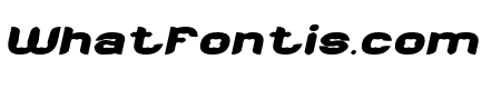 Dandelion Bold Italic