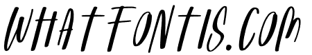 Party Games Italic