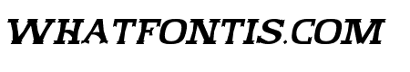 Cowgirl Italic