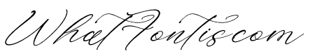 Holicakes Serfinah Italic