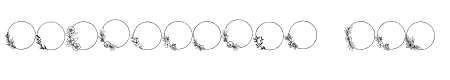 Wedding Frame Regular