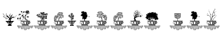 Bonsai Paufo Two