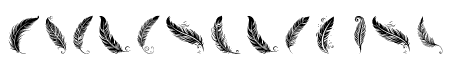 Freedom Maori  Feathers Regular
