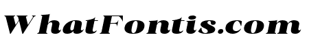 Radiant Charisma Black Italic