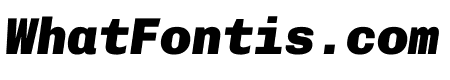 Chivo Mono Heavy Italic
