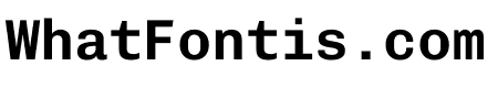 Chivo Mono Semibold