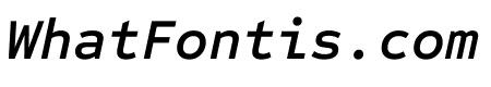 Sometype Mono 600italic