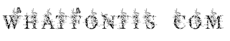 AsiaticLilyFlower