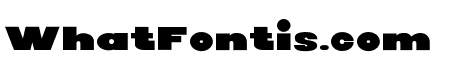 Bold Fintia Regular