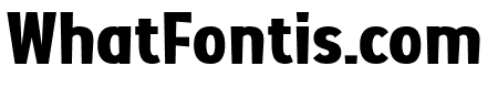 Bold Stance