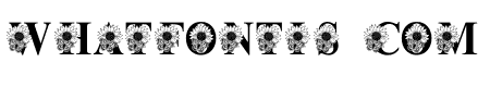 ButterflyandSunflower