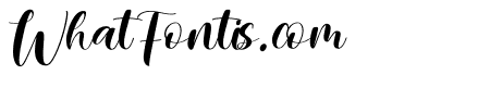 Charming Stylish Italic