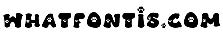 DogandCat