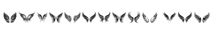 elegant wings Regular