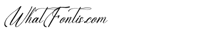 Elsantie Perilyna Italic
