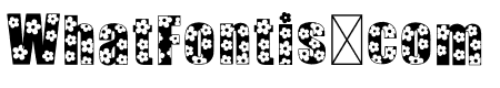 Flower Flower
