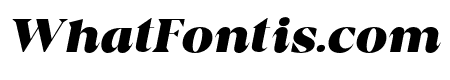 gildan Italic