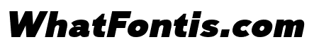 Lusio Black Italic