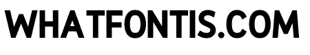 Pontazia Black