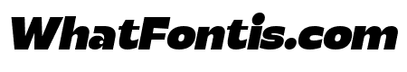 Realist Clostan Black Italic