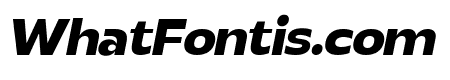 Realist Clostan Bold Italic