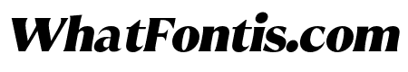 Reifilano-BlackItalic