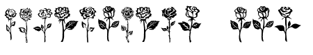 Rose photo